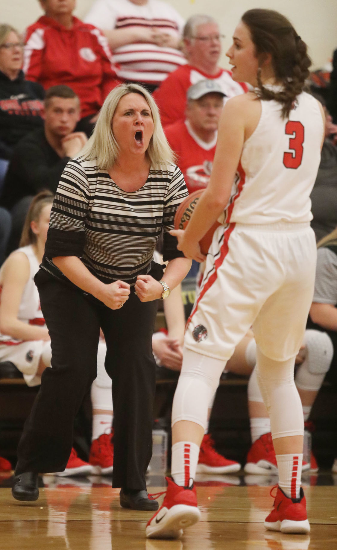 Sullivan vs Edwards Co girls basketball 14 2.11.19.jpg